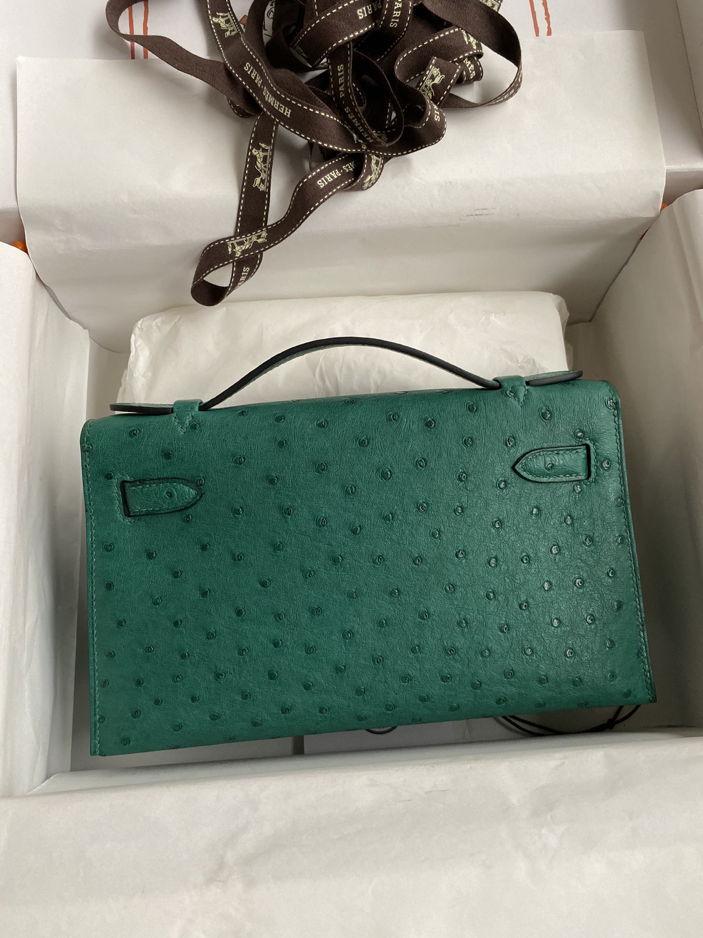 Hermes Mini Kelly Pochette 22cm Bag In Vert Vertigo Ostrich Leather